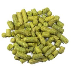 Brewers Gold hop pellets...