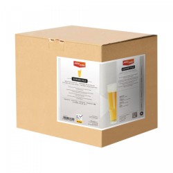 Export Pils 20L Brewferm...